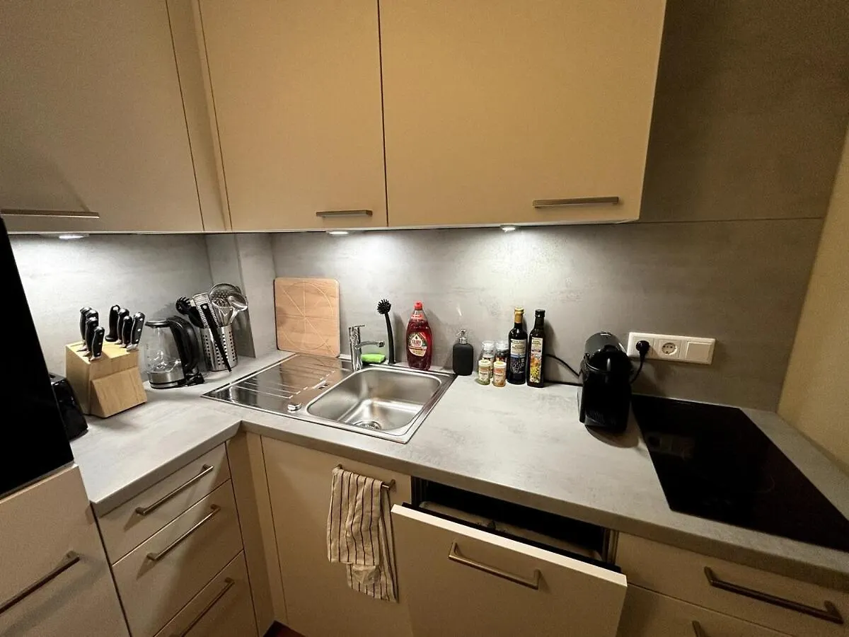City Apartment Am Fluss Φραγκφούρτη