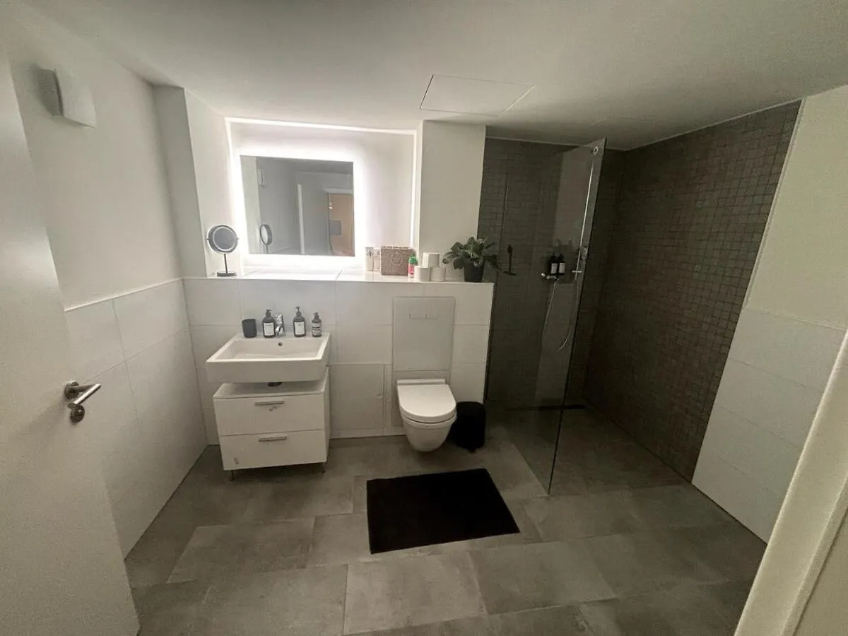 City Apartment Am Fluss Φραγκφούρτη 0*,